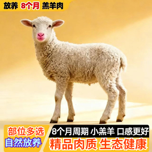 顺丰冷链5斤羊腿肉后腿肉内蒙散养原切新鲜羔羊后腿去骨烧烤羊肉