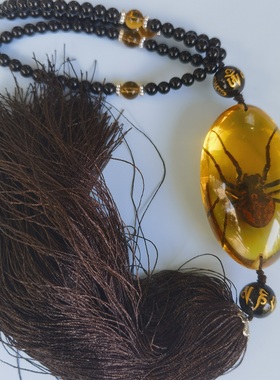 昆虫蝴蝶标本礼物透明包邮