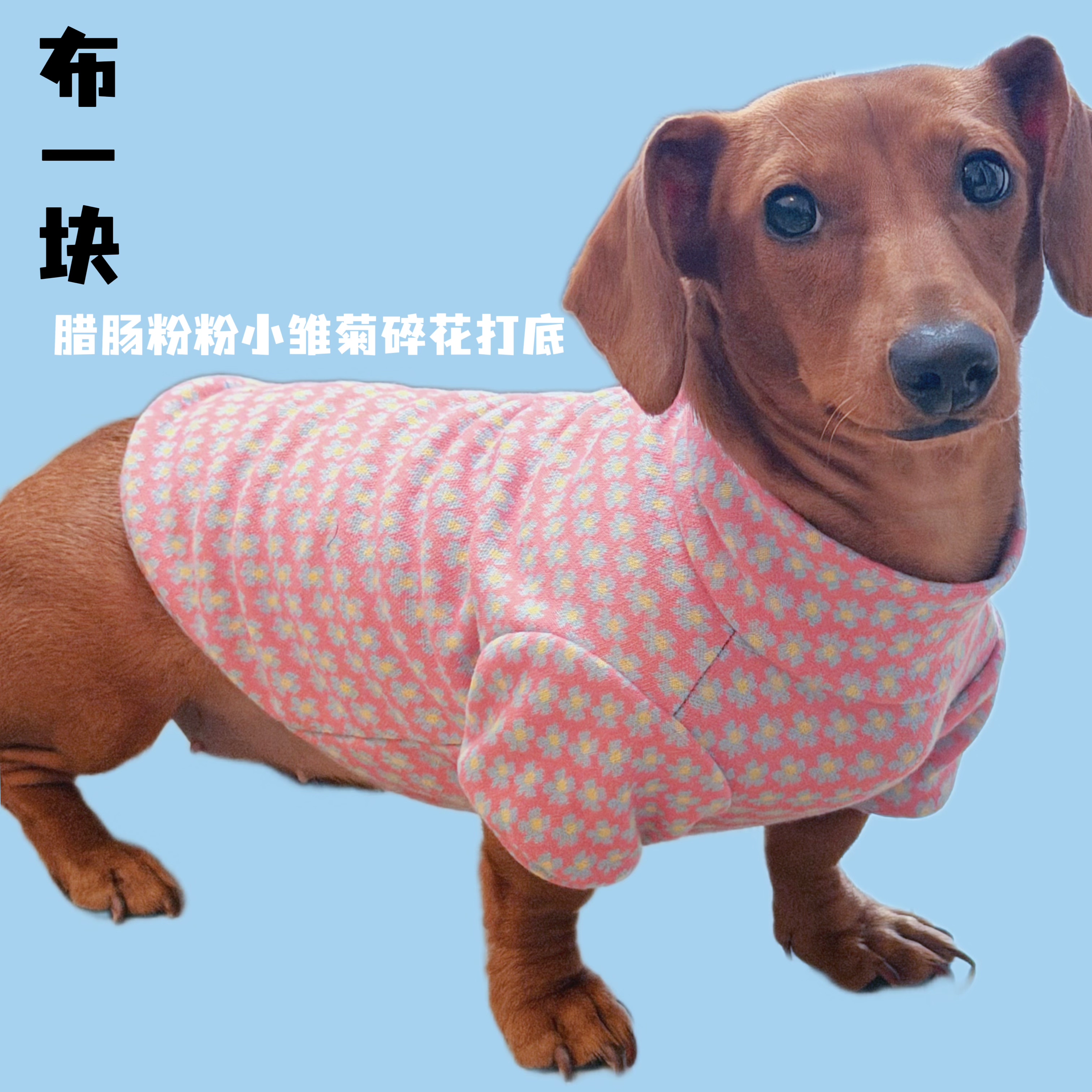 布一块宠物腊肠犬小雏菊碎花打底衫高领弹力小中型犬