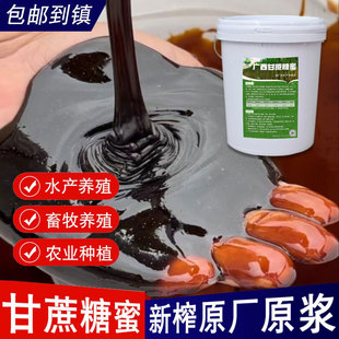 广西甘蔗糖蜜原浆em培菌水肥酵素发酵水产养殖农用畜牧饲料红糖