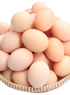 农家散养土鸡蛋初生蛋月子蛋10枚