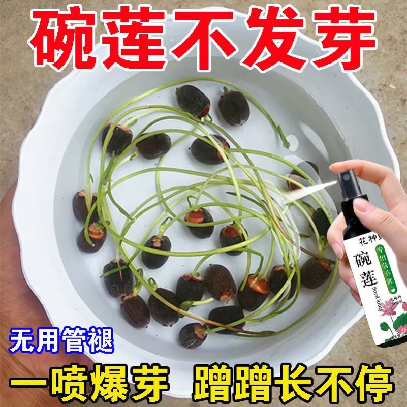 碗莲专用营养液睡莲肥料通用水溶肥水培种子发芽生根促开花防黄叶