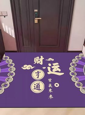 九紫离火门口地垫紫色入户地毯紫气东来进门脚垫除尘门垫水晶绒