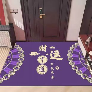 九紫离火门口地垫紫色入户地毯紫气东来进门脚垫除尘门垫水晶绒