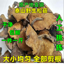 山东特产泰山野生松蘑菇新鲜小香菇干货松菇炖鸡蘑菇龙廷莪子松莪