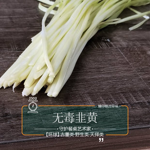 臻印映无毒安心嫩香韭黄胜似野生超越有机鲜香留芳多汁家厨百搭用
