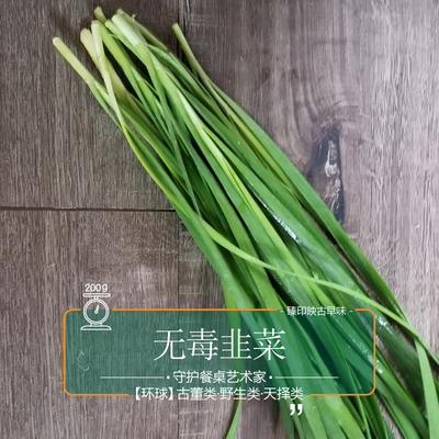 臻印映无毒韭菜胜似野生穿越有机慢养多肉鲜美妈妈安心宝宝辅食.4