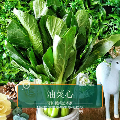 新鲜油菜心无渣脆嫩清甜