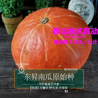 臻印映 东昇南瓜原始种 胜似野生穿越有机 天生天养食疗级 约3斤