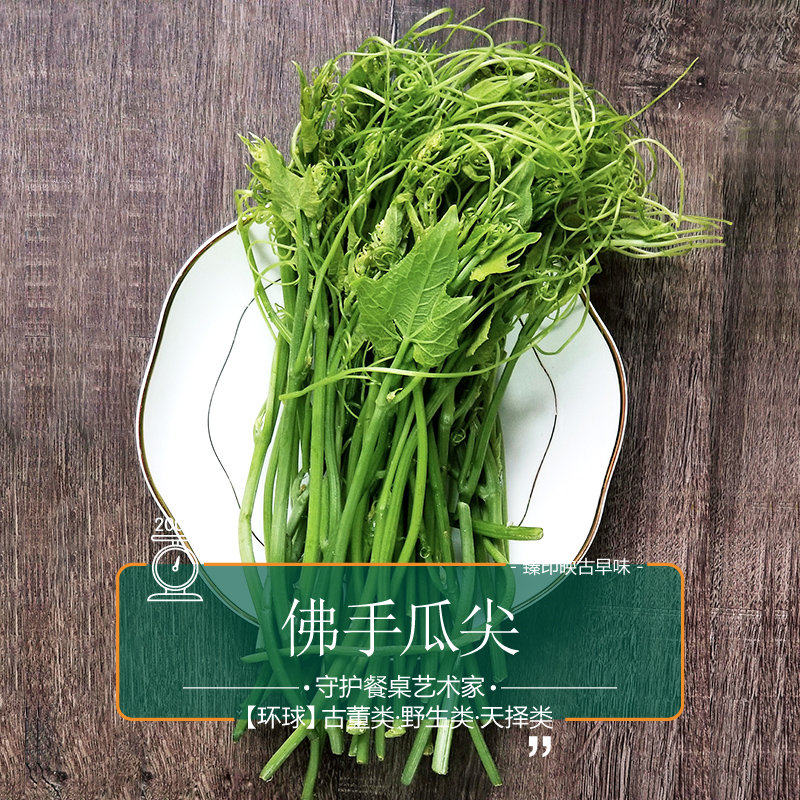 新鲜嫩瓜尖价格 新鲜嫩瓜尖图片 星期三