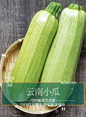 臻印映西葫芦云南小瓜香甜有机