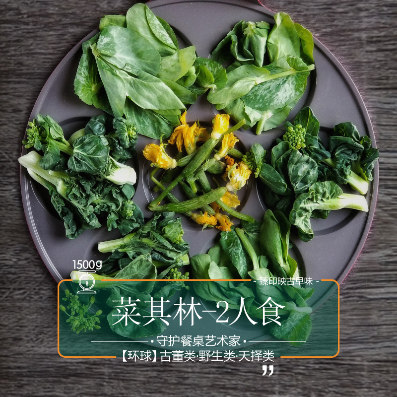 臻印映新鲜绿叶蔬菜应季采摘