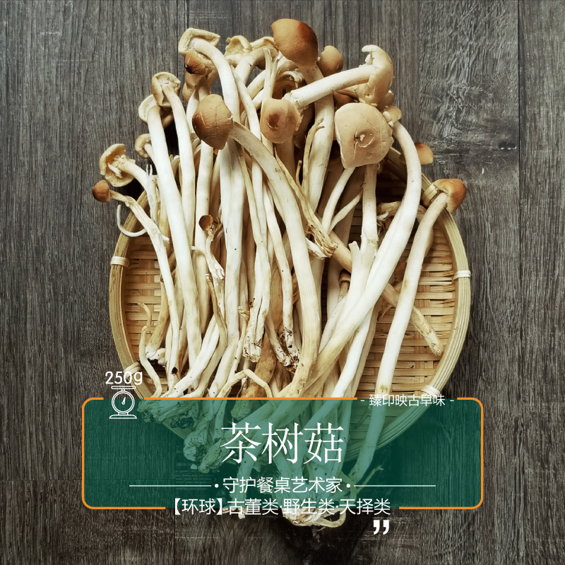 自然成长营养全面茶树菇臻印映
