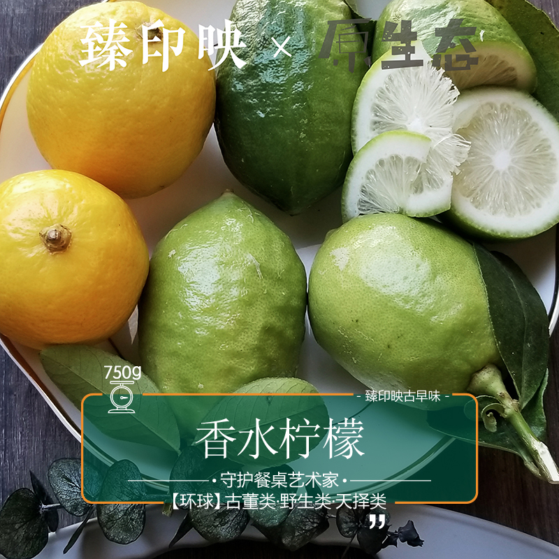 臻印映新鮮正宗臺灣香水檸檬勝似野生超越有機皮無苦澀具有食療效