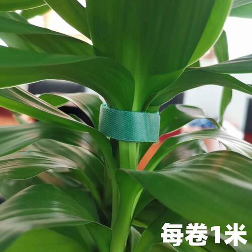 园艺植物捆绑带绿植爬藤枝干捆绑固定不伤茎叶可裁剪反复使用绑带