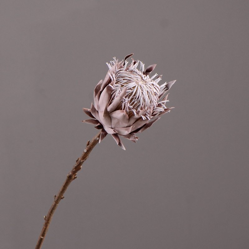 仿真花干花干枯帝王花美式田园做旧客厅餐桌样板间装饰花假花摆件