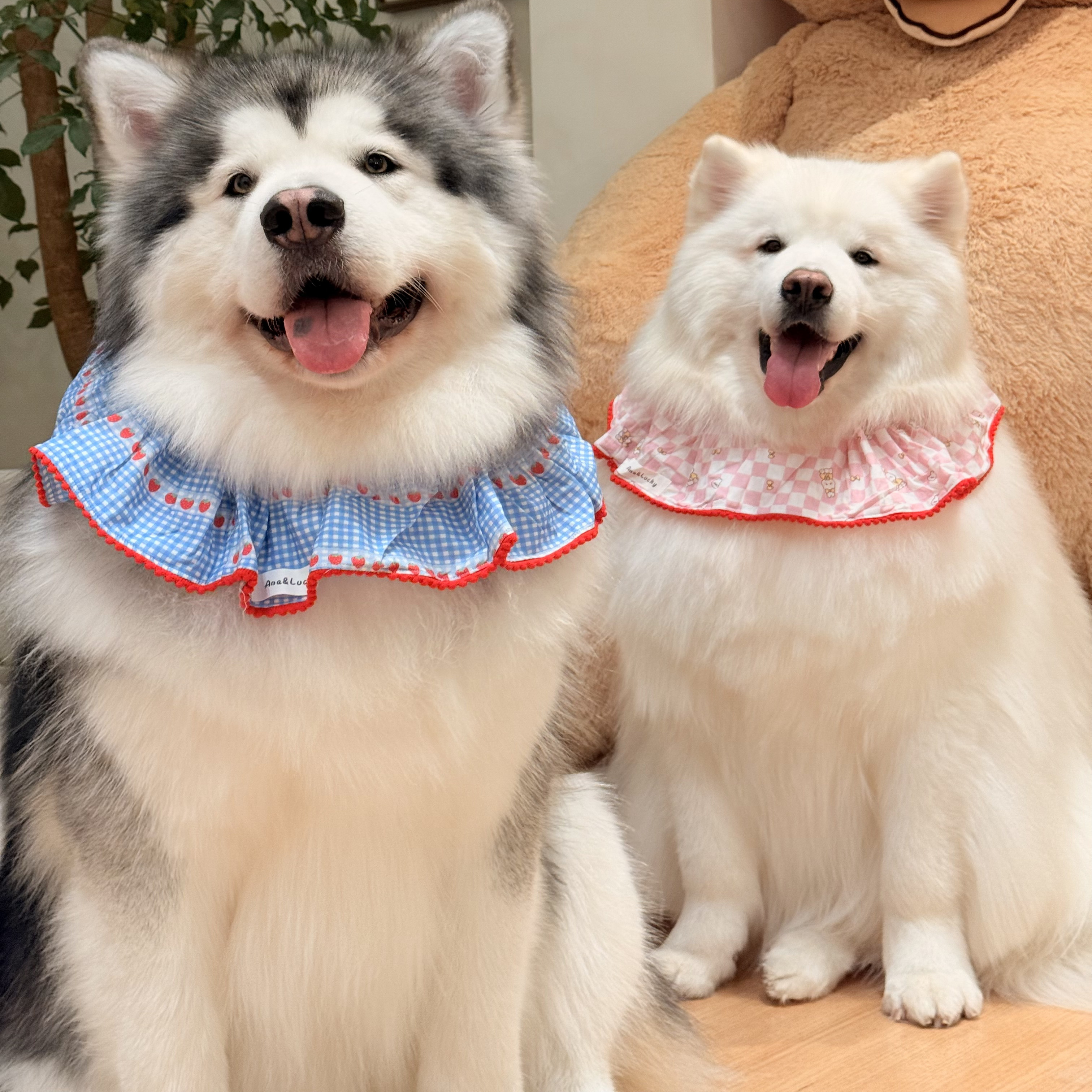 大型犬口水巾阿拉斯加节日斗篷金毛拉布拉多可爱披肩超大型犬围脖