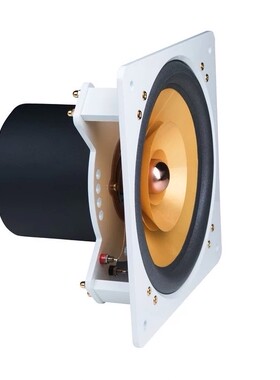 波兰进口 Cube Audio F10  10寸全频喇叭 hifi全频喇叭