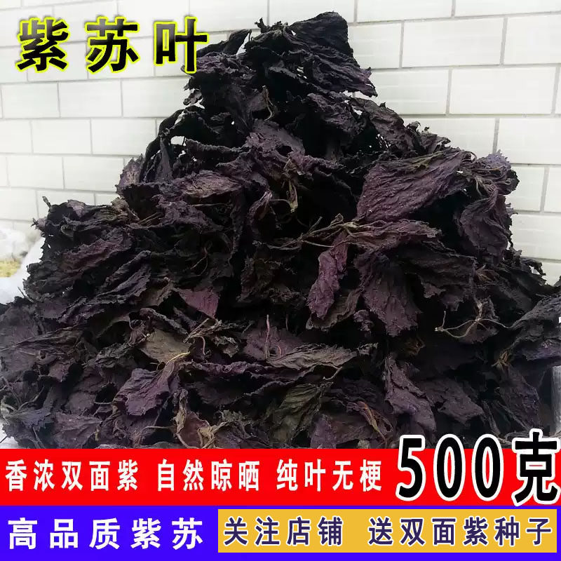 新货双面紫苏叶新鲜农家紫苏非野生干苏子叶茶香料500g克正宗直销