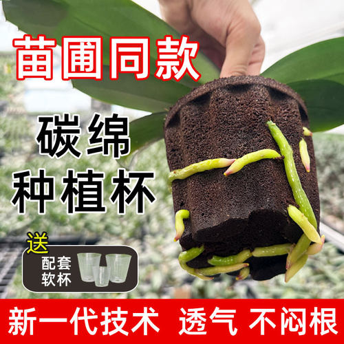 轻壤碳绵塑型基质种植杯苗圃同款