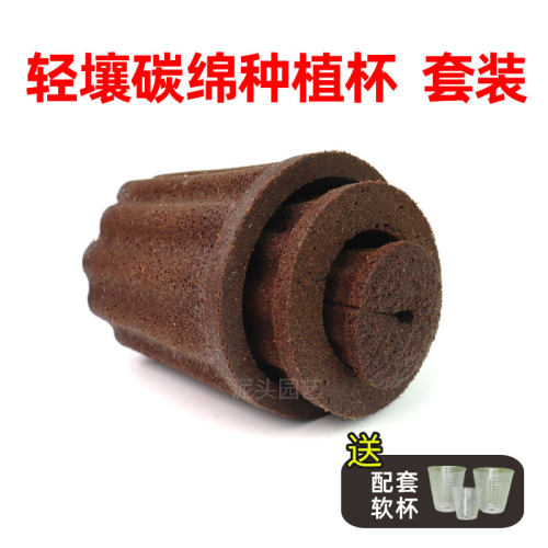 碳绵种植杯套杯兰科种植基质