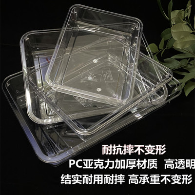 肥猫托盘长方形凉菜盘加厚耐用