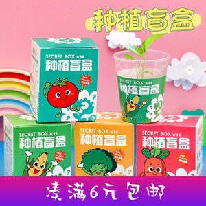 幼儿园种植盆栽盲盒 儿童植物花卉种子小礼品创意桌面摆件小盆栽