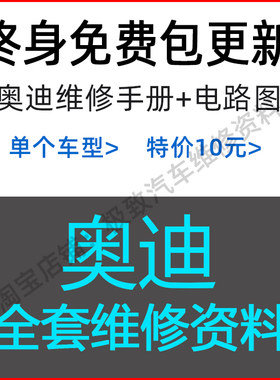 奥迪全套维修手册+电路图资料