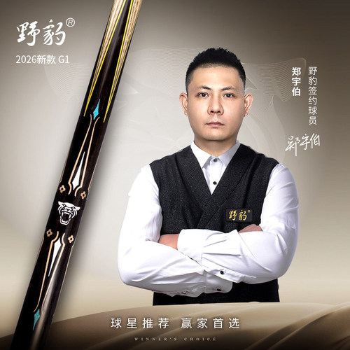 野豹台球杆中式斯诺克职业球杆