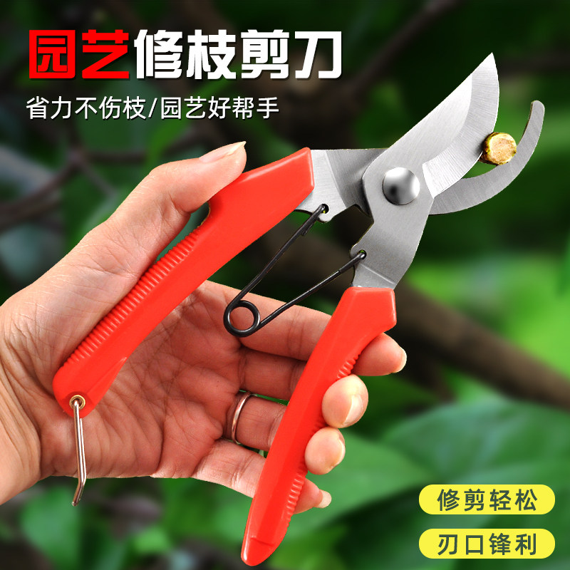 飞宝不锈钢花园林采摘果子户外园艺剪铁皮强力修树枝粗枝工具剪刀,鲜花速递/花卉仿真/绿植园艺,剪刀,淘宝优惠券,粉丝福利购,淘宝优惠卷