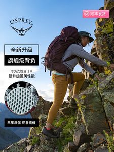 鹞鹰徒步大容量女登山包双肩包