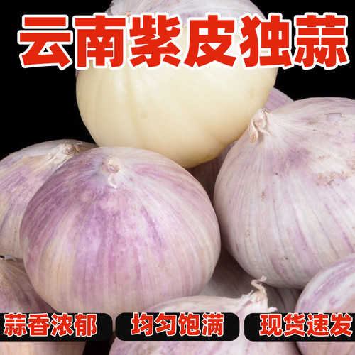 干蒜4斤紫皮独蒜1斤干蒜云南紫皮大蒜圆蒜农家新大蒜独蒜香蒜调料