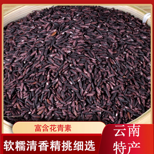 墨江紫米云南农家种植食用大米红米饭香软紫米五谷杂粮袋装