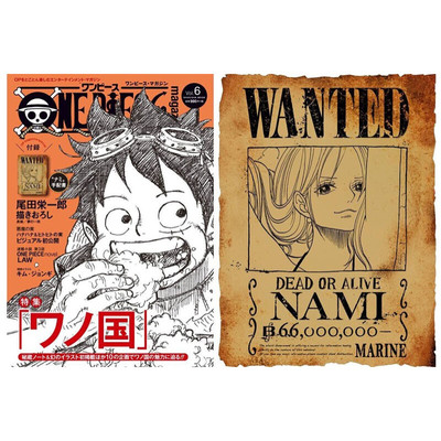 ONEPIECEmagazineVol.6