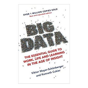 英文大数据:工作生活基本指南 Big Data Kenneth Cukier Viktor Mayer 自我提升 纯全英文版正版原著进口原版英语书籍