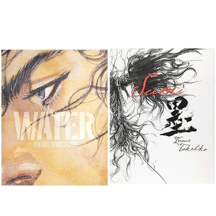 现货 浪客行画集 WATER+墨 日文原版 バガボンド画集 水 井上雄彦 集英社 浪人剑客 漫画周边 艺术画册 日本原版进口动漫小说书籍