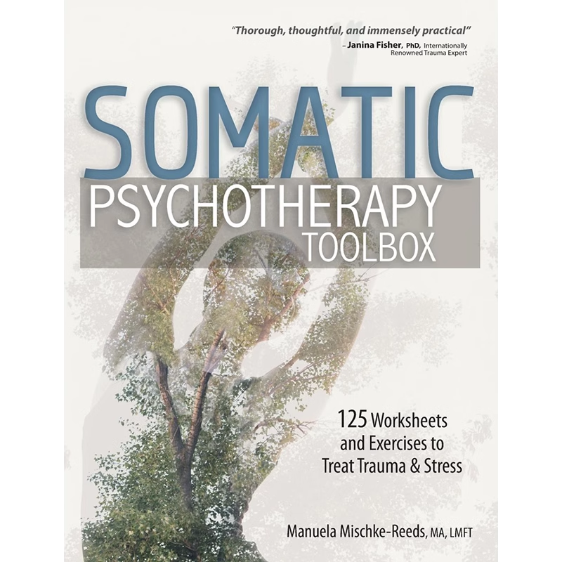 【预售 按需印刷】躯体心理治疗法 英文正版 Somatic Psychotherapy Toolbox 进口书籍