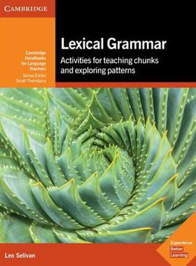 词汇语法 英文原版 Lexical Grammar Leo Selivan Cambridge University 提供实用课堂活动建议 纯全英文版正版原著英语书籍