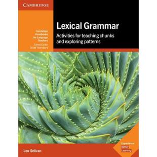 提供实用课堂活动建议 Selivan 英文原版 词汇语法 原著英语书籍 Leo Grammar Cambridge 正版 纯全英文版 University Lexical