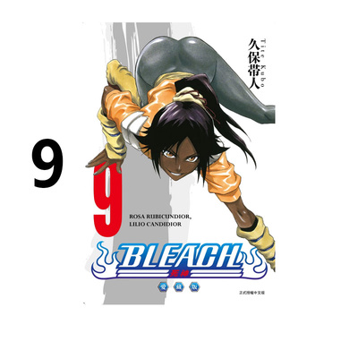 漫画BLEACH境界爱藏版9台版