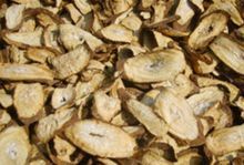 徐州特产新鲜牛蒡茶黄金牛蒡根片  散装正品包邮特级牛旁片养生茶