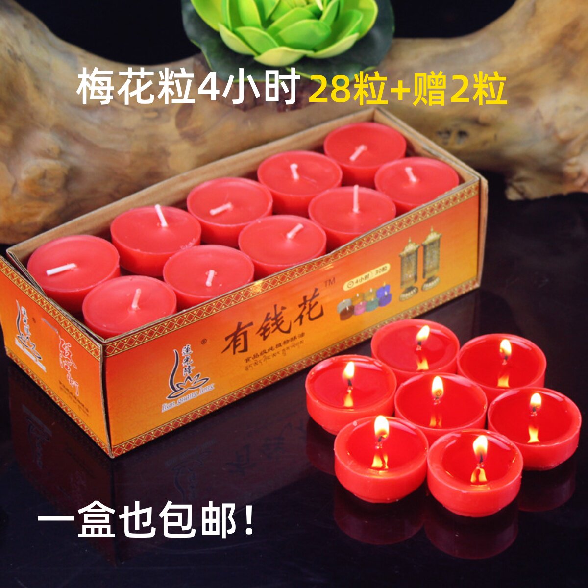 梅花粒4小时酥油灯家用供佛