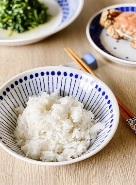 日式蓝色竖条纹釉下彩陶瓷进口餐具家用米饭碗面碗碟子菜盘大汤碗