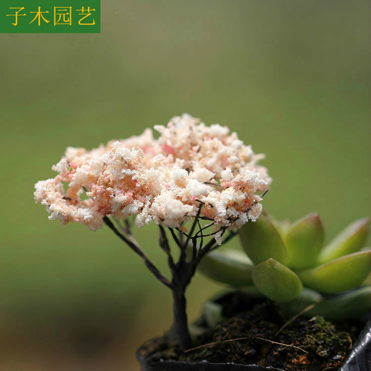 仿真花装饰造景樱花树