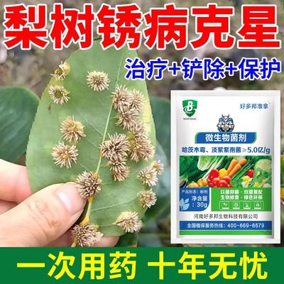 梨树专用药梨树病全治农用梨树锈病黑斑病褐斑病软腐病特效杀菌剂