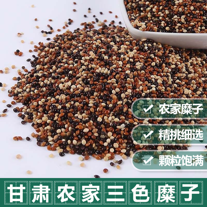 甘肃鸟食大黄米带壳稷子糜子枕头防褥疮垫子散装蒙稷非粘性填充物