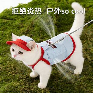 春夏狗狗冰袋凉凉衣户外防晒降温牵引背心中小型泰迪猫咪宠物衣服