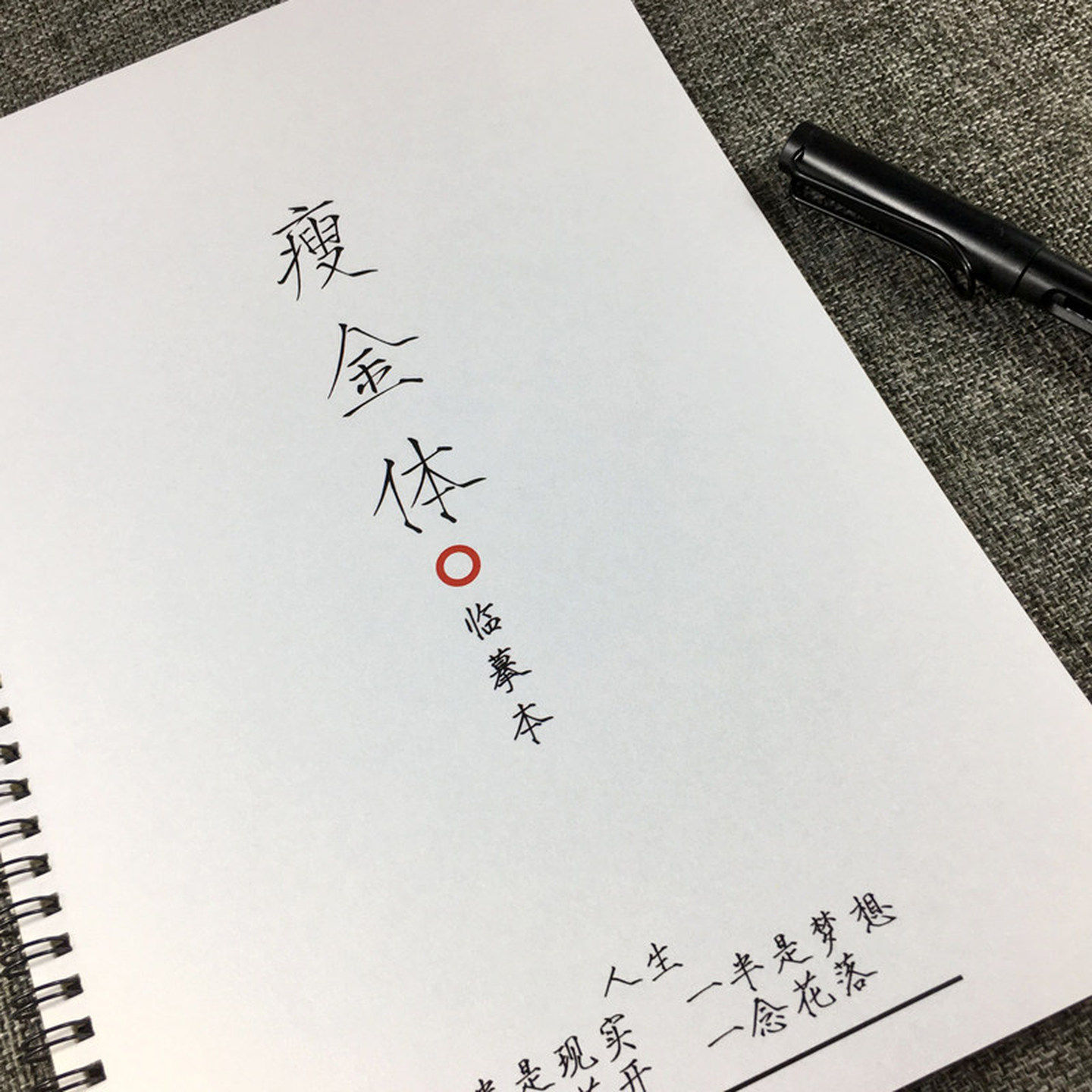 瘦金体字帖硬笔临摹初高中生古诗文名人名言励志语录钢笔字帖名人,文具电教/文化用品/商务用品,练字帖/练字板,淘宝优惠券,粉丝福利购,淘宝优惠卷