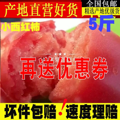 粉色小西红柿5斤沙瓤自然熟生吃水果洋柿子新鲜蔬菜番茄柿子孕妇