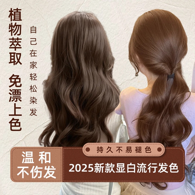 染发膏剂黑茶色米棕染发